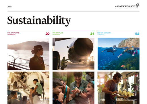 Miniature Air New Zealand
 Rapport de durabilité 2016