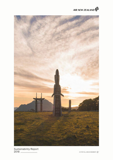 Miniature Air New Zealand
 Rapport de durabilité 2018