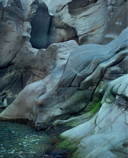 Thumbnail Givaudan Financial Statement 2018