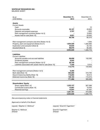 Thumbnail Whitecap Resources Financial Statement 2013