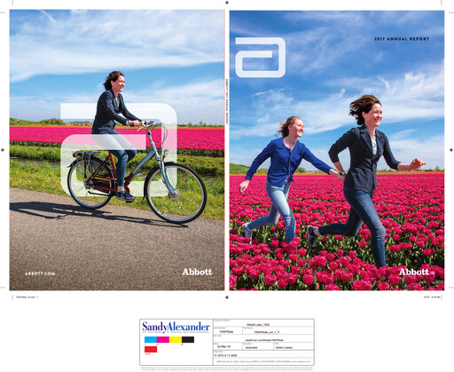 Thumbnail Abbott Laboratories Annual Report 2017