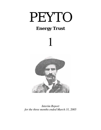 Thumbnail Peyto Exploration & Development Quarterly Report 2005-q1