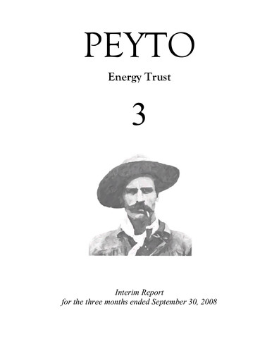 Thumbnail Peyto Exploration & Development Quarterly Report 2008-q3