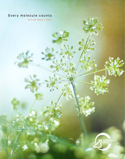 Thumbnail Tessenderlo Group Annual Report 2012
