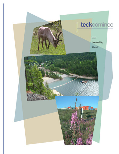 Thumbnail First Quantum Minerals
 Sustainability Report 2002