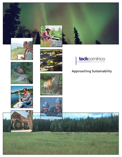 Thumbnail First Quantum Minerals
 Sustainability Report 2004