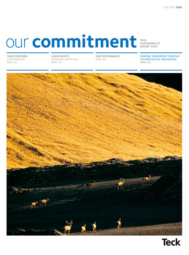 Thumbnail First Quantum Minerals
 Sustainability Report 2007