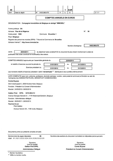 Thumbnail Immobel Financial Statement 2013