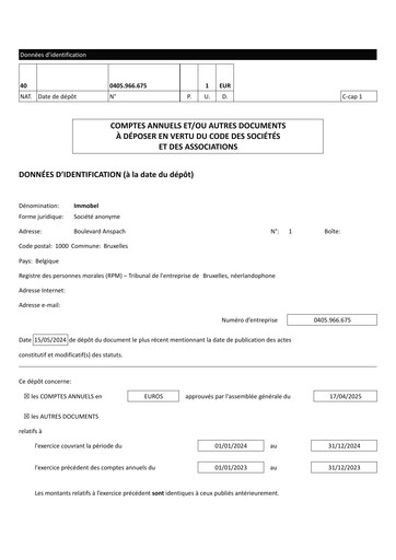 Thumbnail Immobel Financial Statement 2024
