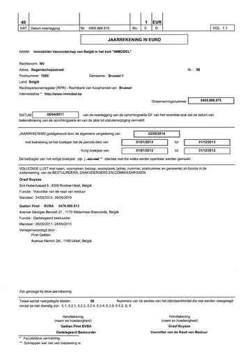 Thumbnail Immobel Financial Statement 2013