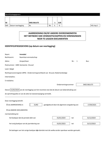 Thumbnail Immobel Financial Statement 2024