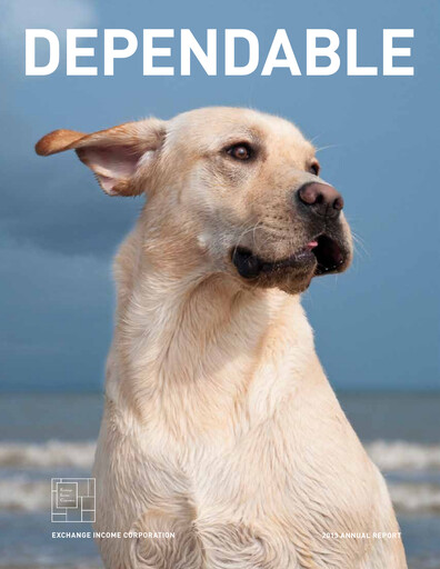 Thumbnail Exchange Income Corporation Annual Report 2013