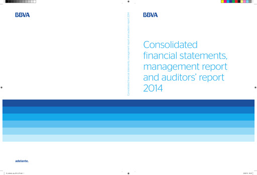 Thumbnail UBM Development Financial Statement 2014