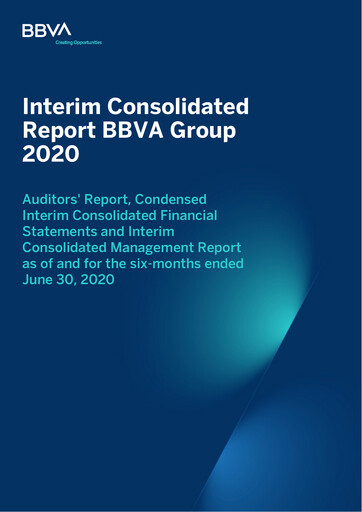 Thumbnail UBM Development Financial Statement 2020-h1