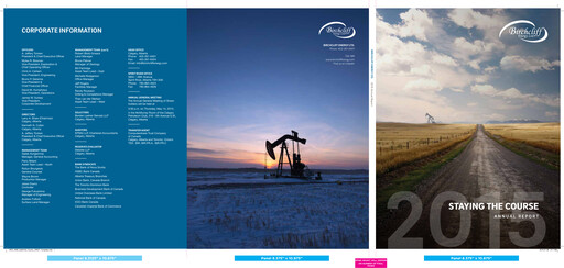 Thumbnail Birchcliff Energy Annual Report 2015