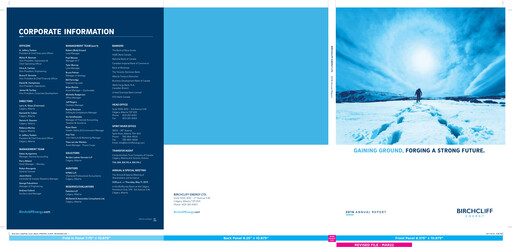 Thumbnail Birchcliff Energy Annual Report 2016