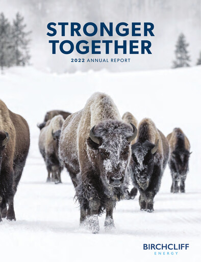 Thumbnail Birchcliff Energy Annual Report 2022