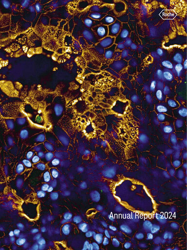 Vorschaubild Roche Jahresbericht 2024