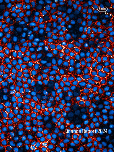 Miniature Roche Bilan financier 2024