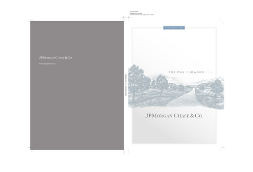 Thumbnail JPMorgan Chase Annual Report 2008