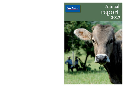 Thumbnail Virbac SA Annual Report 2013
