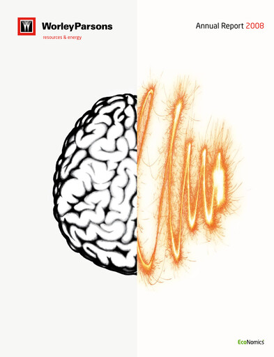 Miniature Worley Rapport annuel 2008