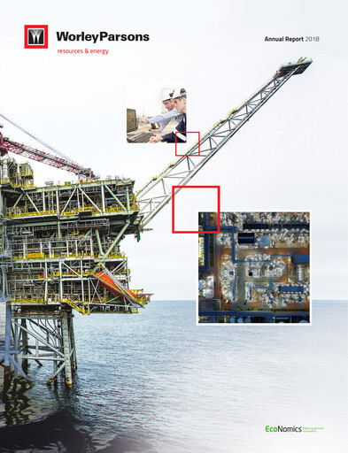 Miniature Worley Rapport annuel 2018