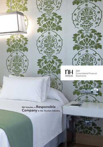 Miniature NH Hotel Group Bilan financier 2007
