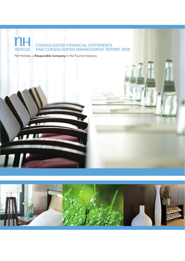 Miniature NH Hotel Group Bilan financier 2008