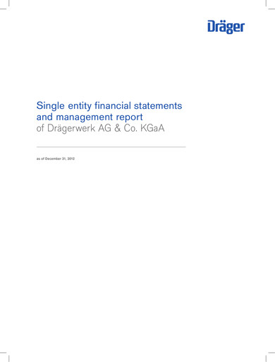 Miniature Drägerwerk
 Bilan financier 2012