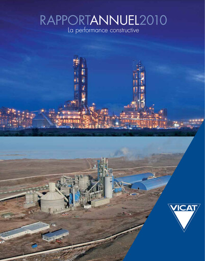 Miniature Vicat S.A. Rapport annuel 2010