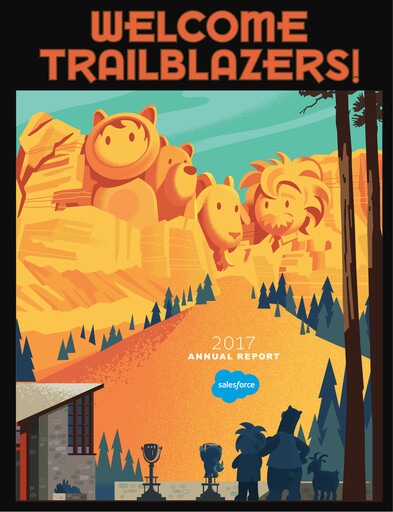 Vorschaubild Salesforce Jahresbericht 2016-2017