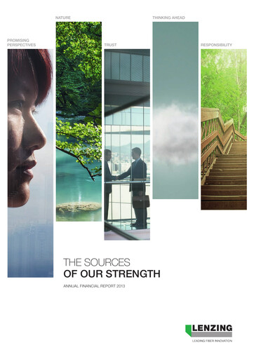 Thumbnail Lenzing

 Financial Statement 2013