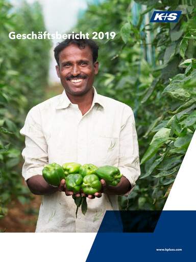 Miniature K+S
 Rapport annuel 2019