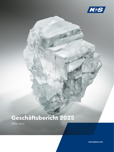 Miniature K+S
 Rapport financier 2025