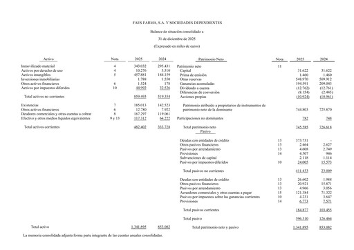 Thumbnail Faes Farma Annual Report 2025