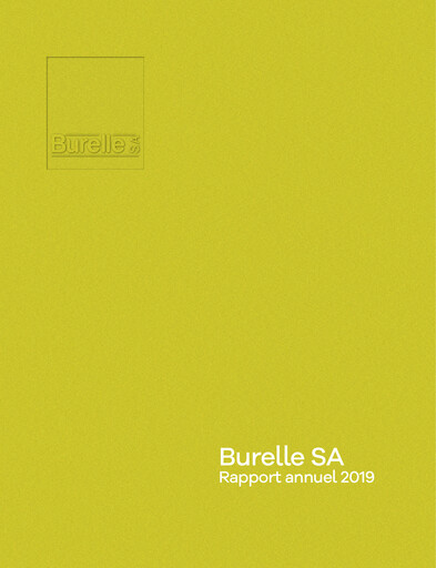 Thumbnail Burelle Annual Report 2019