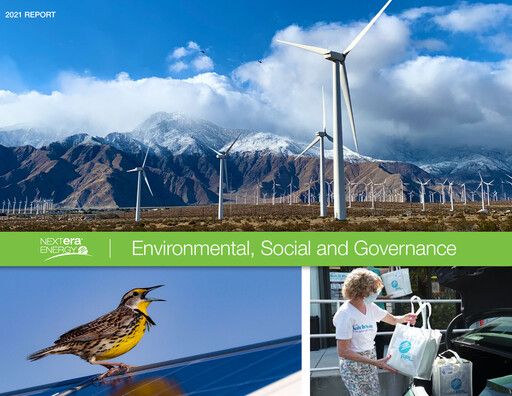 Thumbnail Nextera Energy ESG Report 2021