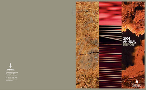 Thumbnail Eramet Annual Report 2008