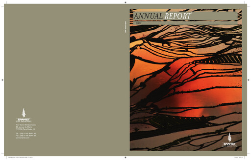 Thumbnail Eramet Annual Report 2009