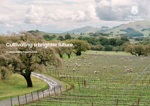 Miniature Treasury Wine Estates
 Rapport de durabilité 2023