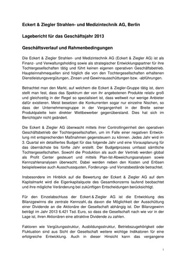 Thumbnail Eckert & Ziegler Financial Statement 2013