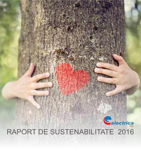 Thumbnail Electrica
 Sustainability Report 2016