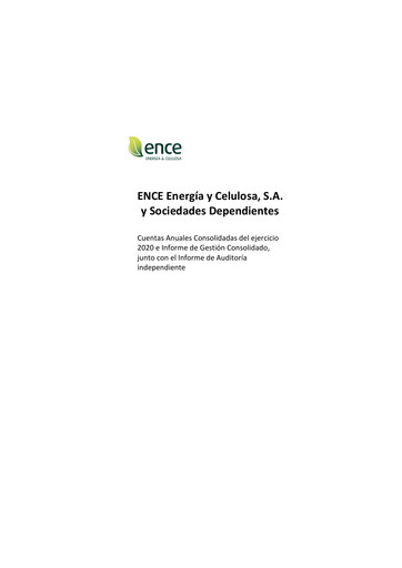 Thumbnail ENCE Energía y Celulosa Financial Statement 2020