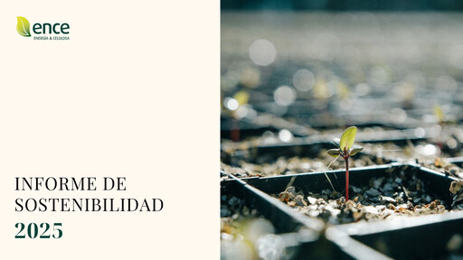 Thumbnail ENCE Energía y Celulosa Sustainability Report 2025