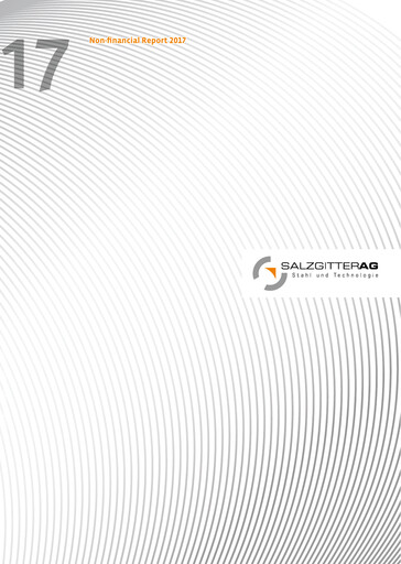 Miniature Salzgitter Rapport ESG 2017