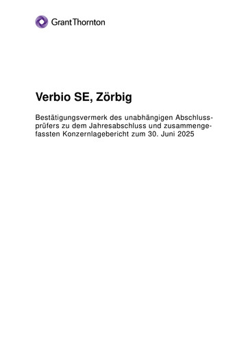 Thumbnail Verbio Financial Statement 2024-2025