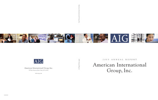 Miniature American International Group Rapport annuel 2005