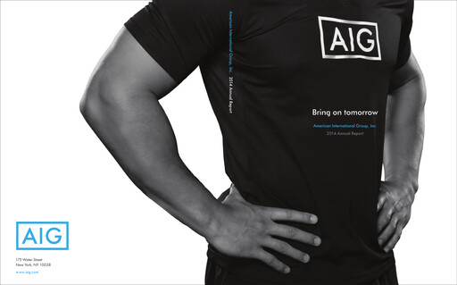 Miniature American International Group Rapport annuel 2014