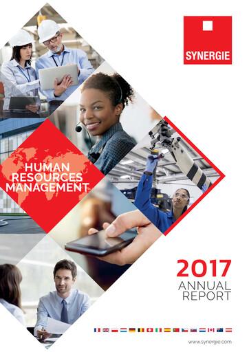 Miniature Synergie SE Rapport annuel 2017